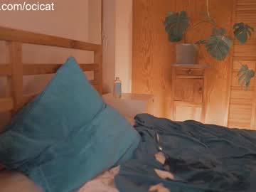 Nude girl ocicat image #4963869