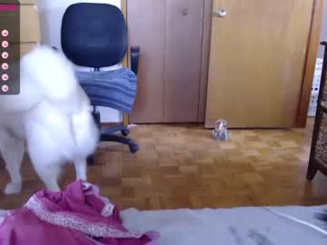 Nude girl ffl1233 image #3081847