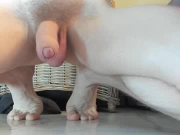 Nude man viksons image #5356480