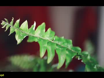 Nude girl excitease image #3011547