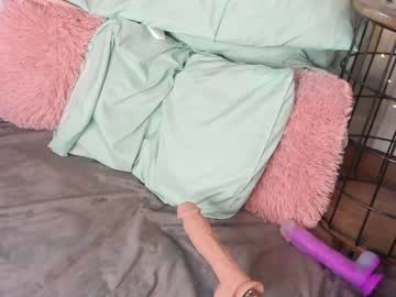 Nude girl paldineswife image #952779