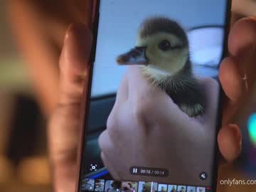 Nude tranny newivy image #6099632