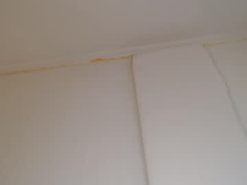 Nude girl sofiasisko image #1809376