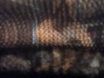 Nude girl neferpita image #4201123