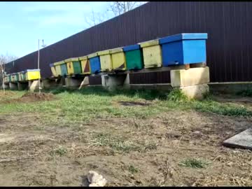 Nude girl 2whitediamonds image #3544329