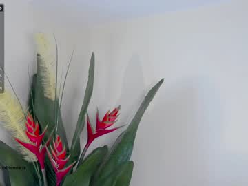 Nude girl belle_adrienne image #2115000