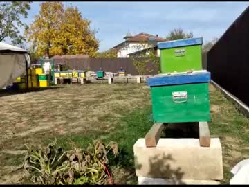 Nude girl 2whitediamonds image #2935359