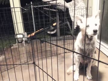 Nude girl kaileeshy image #420217