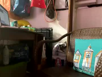 Nude man daddydick2128 image #645377