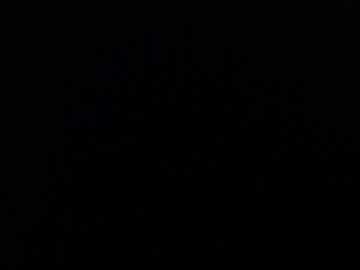 Nude girl royalboobs image #579326