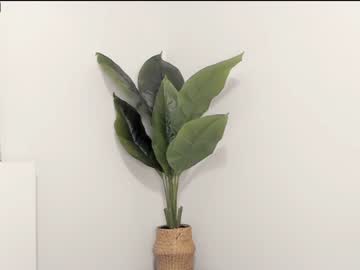 Nude girl lilbeccaxo image #2524794