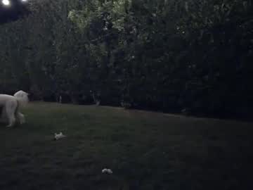 Nude girl georgieveee image #140399