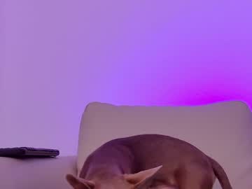 Nude girl sapphirealice image #565177