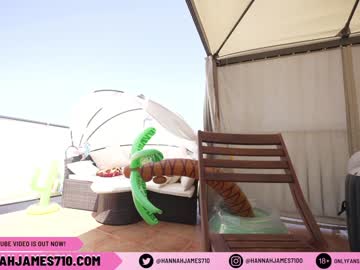 Nude girl hannahjames710 image #2340729