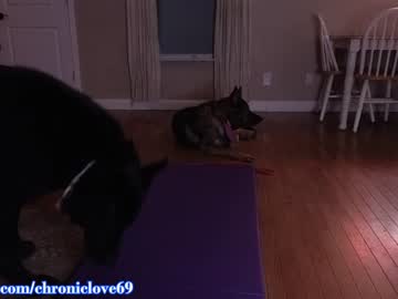 Nude girl chroniclove image #4263405