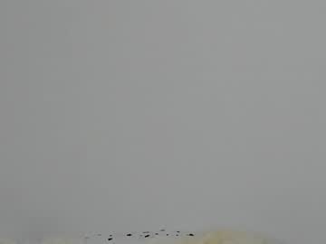 Nude girl super_pusichki image #2069343