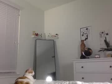 Nude girl angel_eve_xx image #1778077