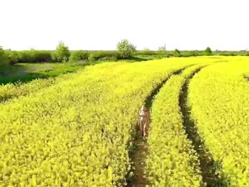 Nude girl alyssa_pusy image #4736007