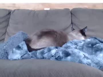 Nude man lancehardin image #1579836