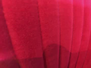 Nude girl ehotlovea image #6071342