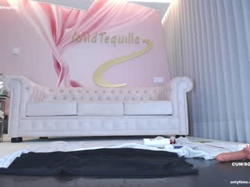 Nude girl wildtequilla image #4784310