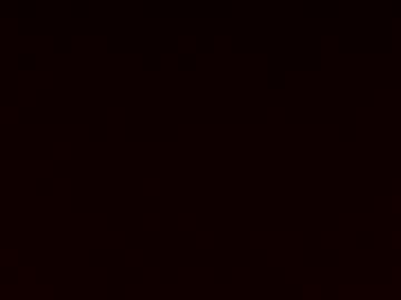 wholesomebull00 nude cam