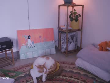 Nude girl maria_alfonsina_ image #5369701