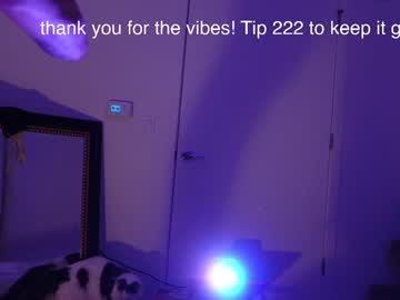 Nude girl olive_nextdoor image #3470851