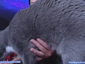 Nude girl chroniclove image #4557116