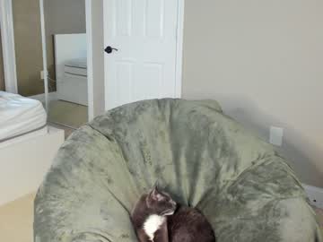 Nude girl umami__tsunami image #886089