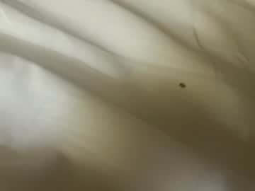 Nude couple moonlightandstars image #5266008