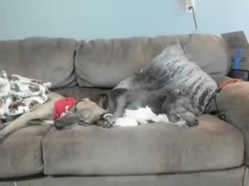 Nude girl lenity_life image #6386763