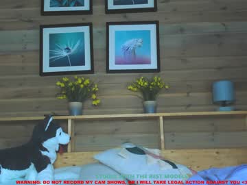 Nude girl coy_amina image #565939