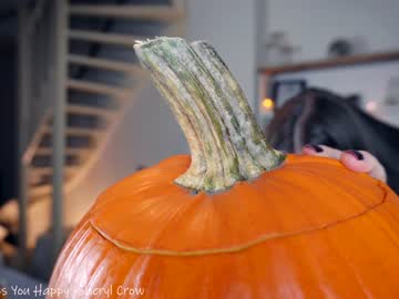 Nude girl x_lily_x image #2874305