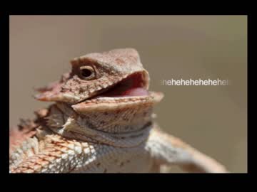 Nude girl alicentity image #5409785