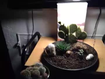 Nude man mattherz image #412565