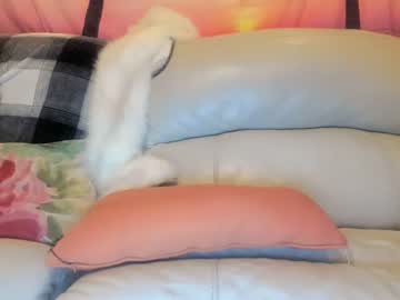 Nude tranny bigdicktrannynicole image #4580634