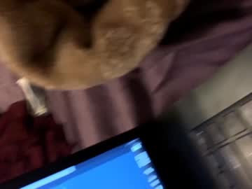 Nude man ineedacamaro12 image #1283265