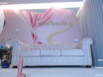 Nude girl wildtequilla image #4884100