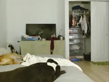 Nude girl dazey1 image #6762483