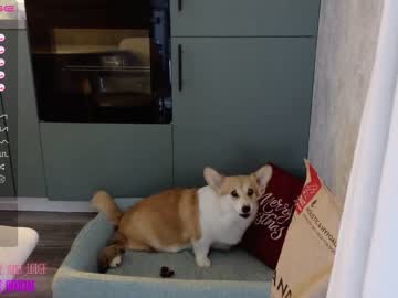 Nude girl nika_lodge image #4866929