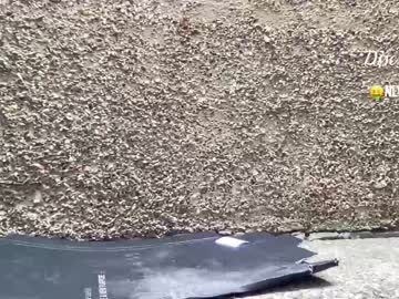 Nude girl eatmypie69 image #1636564