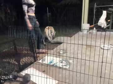 Nude girl kaileeshy image #449418