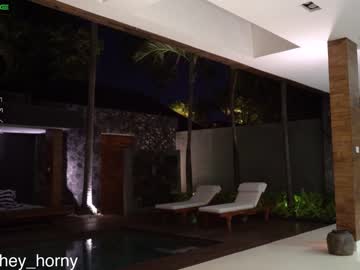 Nude girl heyhorny_cb image #2657021