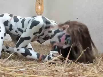 Nude girl shena_nomy image #6002253