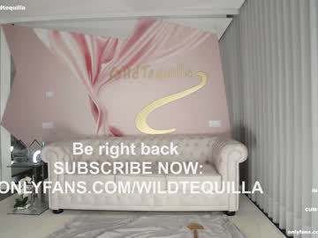 Nude girl wildtequilla image #4368727