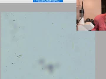 Nude girl kaileeshy image #5202335