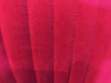 Nude girl ehotlovea image #6090351