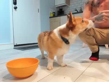 Nude couple ryanrailer image #3462302