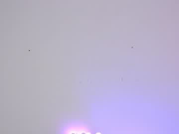 Nude girl sapphirealice image #1716738